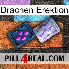 Dragon Erection 37